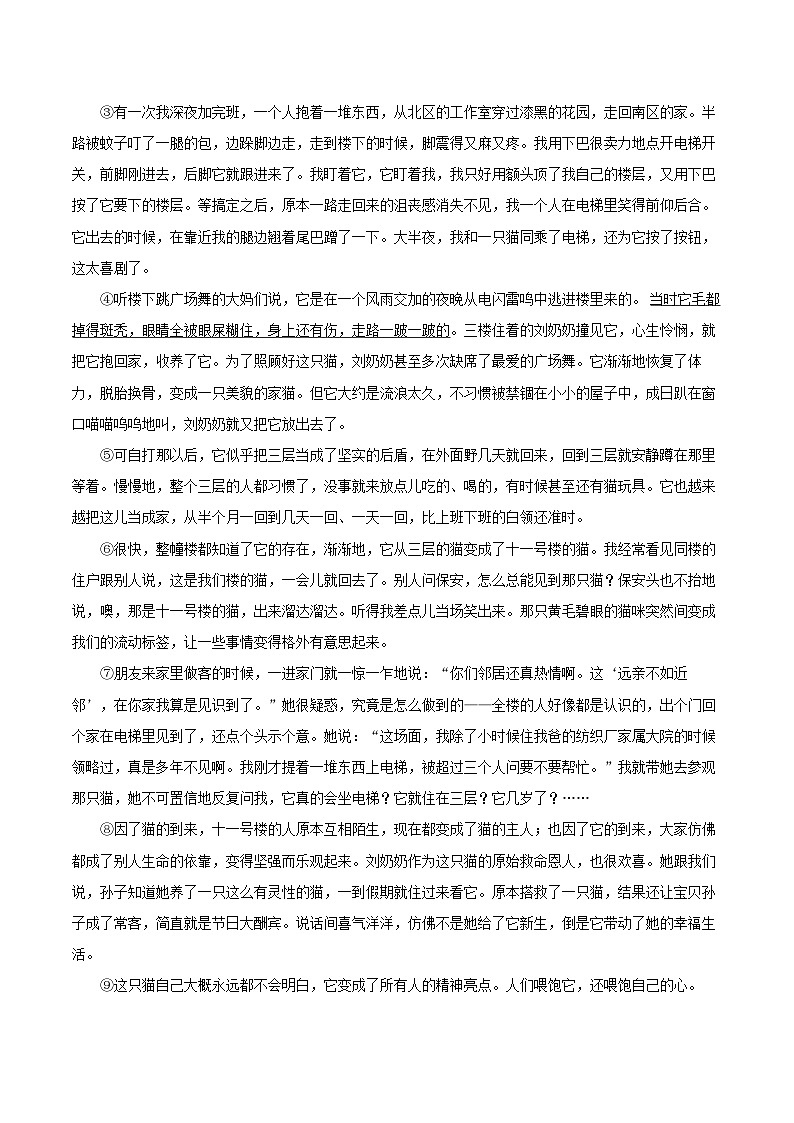 2022-2023学年浙江省绍兴市嵊州市七年级（上）期末语文试卷（含答案解析）03