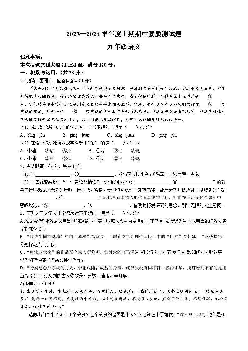 河南省驻马店市确山县2023-2024学年九年级上学期期中语文试题01