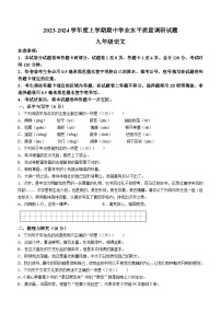 山东省临沂市河东区2023-2024学年九年级上学期期中考试语文试题