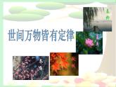 5 【核心素养】部编版初中语文八年级下册5《大自然的语言》 课件+教案+导学案（师生版）+同步测试（含答案）