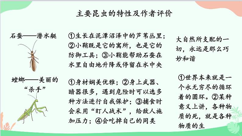 统编版语文八年级上册 名著导读 《昆虫记》 科普作品的阅读课件05