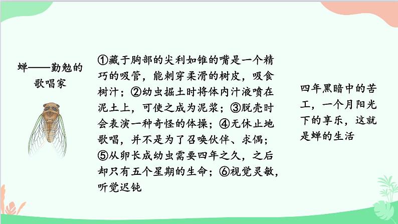 统编版语文八年级上册 名著导读 《昆虫记》 科普作品的阅读课件06
