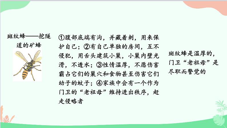 统编版语文八年级上册 名著导读 《昆虫记》 科普作品的阅读课件08