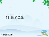 统编版语文八年级上册 11 短文二篇课件