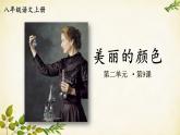 统编版语文八年级上册 9 美丽的颜色课件