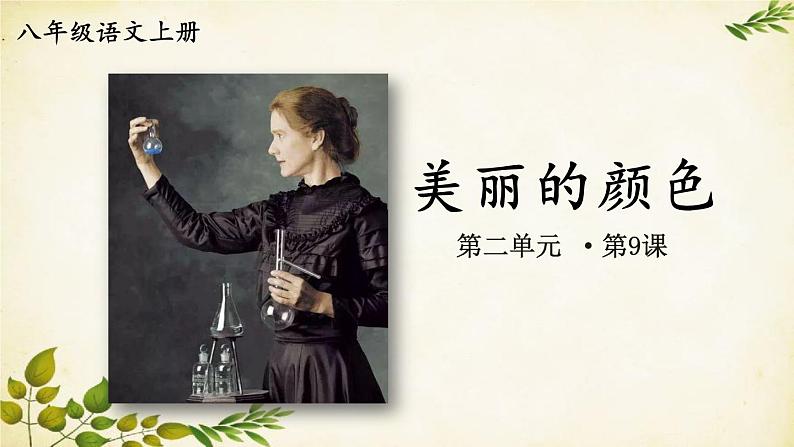 统编版语文八年级上册 9 美丽的颜色课件第2页
