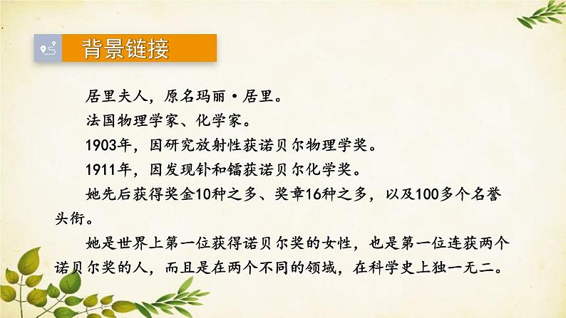 统编版语文八年级上册 9 美丽的颜色课件第7页