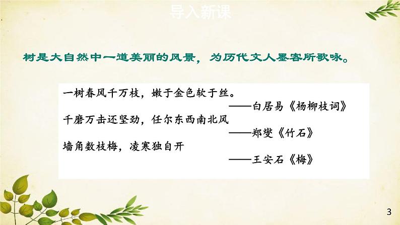 统编版语文八年级上册 15 白杨礼赞【第一课时】课件第3页