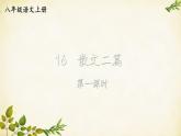 统编版语文八年级上册 16 散文二篇【第一课时】课件