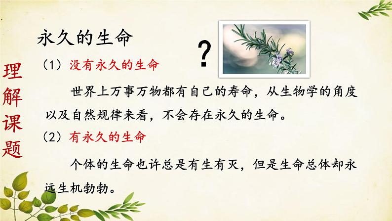 统编版语文八年级上册 16 散文二篇【第一课时】课件第5页