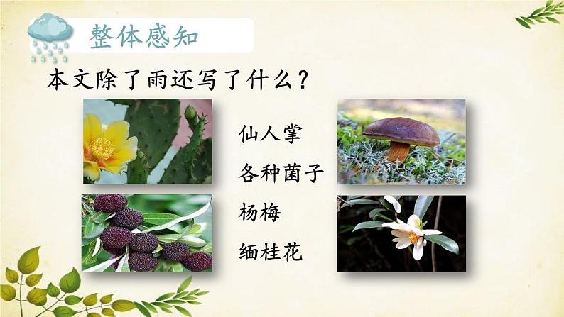 统编版语文八年级上册 17 昆明的雨课件06