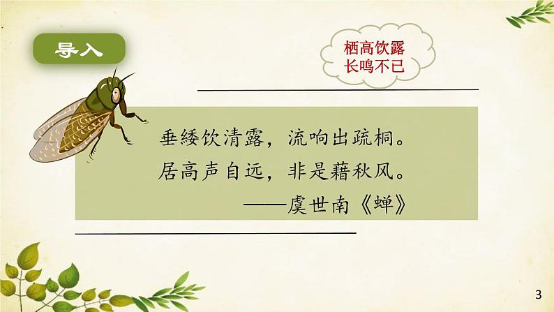 统编版语文八年级上册 21 蝉课件03