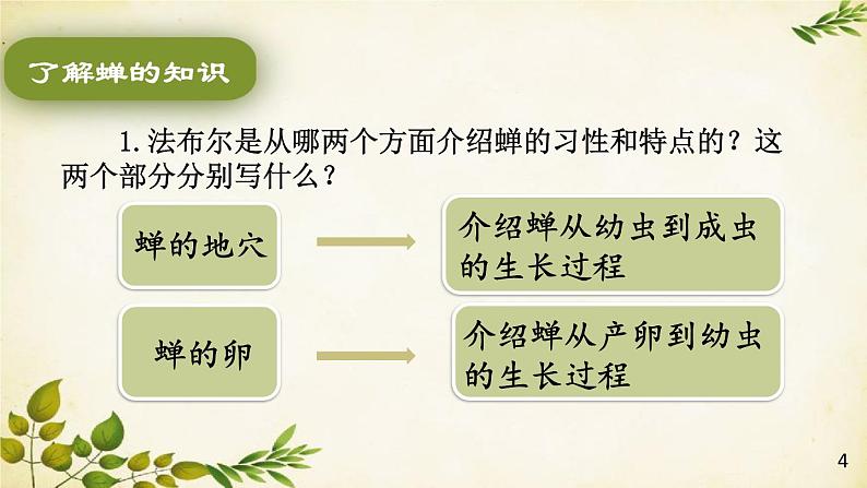 统编版语文八年级上册 21 蝉课件04