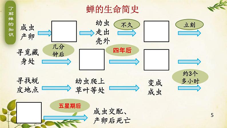 统编版语文八年级上册 21 蝉课件05