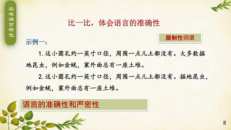 统编版语文八年级上册 21 蝉课件08