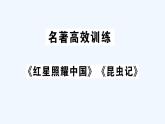 统编版语文八年级上册 第六单元习题课件