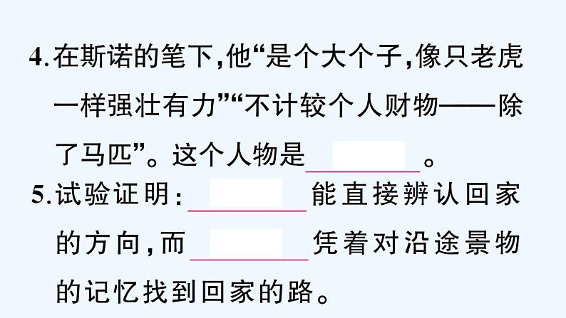 名著高效训练《红星照耀中国》《昆虫记》第5页