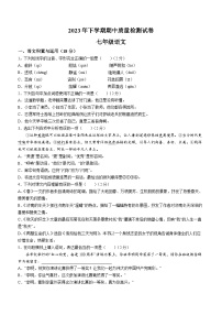 湖南省岳阳市临湘市2023-2024学年七年级上学期期中考试语文试题