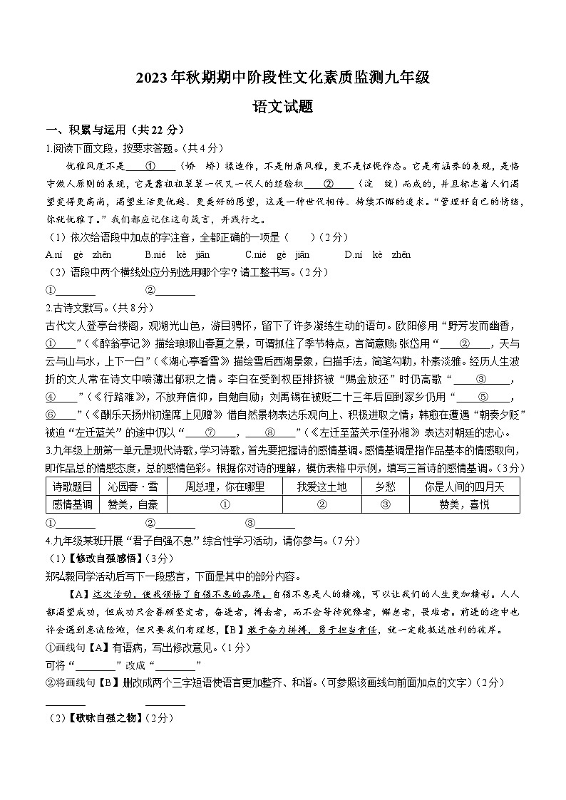 河南省南阳市唐河县2023-2024学年九年级上学期期中语文试题01