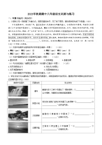 河南省南阳市内乡县2023-2024学年八年级上学期期中语文试题