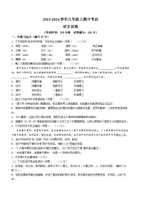 辽宁省阜新市实验中学2023-2024学年九年级上学期期中考试语文试题