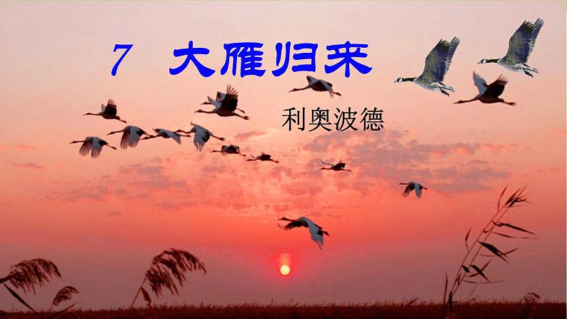 7 【核心素养】部编版初中语文八年级下册7《大雁归来》 课件+教案+导学案（师生版）+同步测试（含答案）02