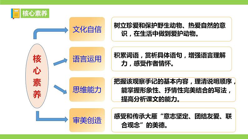 7 【核心素养】部编版初中语文八年级下册7《大雁归来》 课件+教案+导学案（师生版）+同步测试（含答案）03