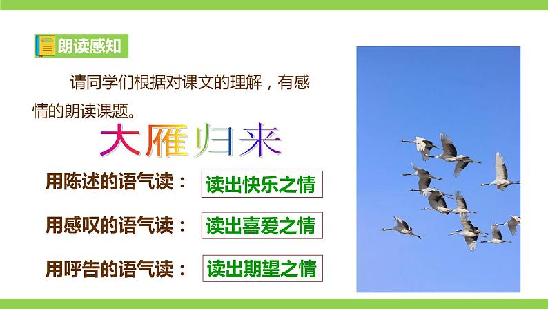 7 【核心素养】部编版初中语文八年级下册7《大雁归来》 课件+教案+导学案（师生版）+同步测试（含答案）08