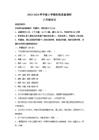 山东省临沂市兰陵县2023-2024学年八年级上册期中语文试题（含解析）