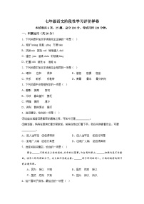 江苏省句容市2023-2024学年七年级上册阶段性学习评价语文（期中）卷（含解析）