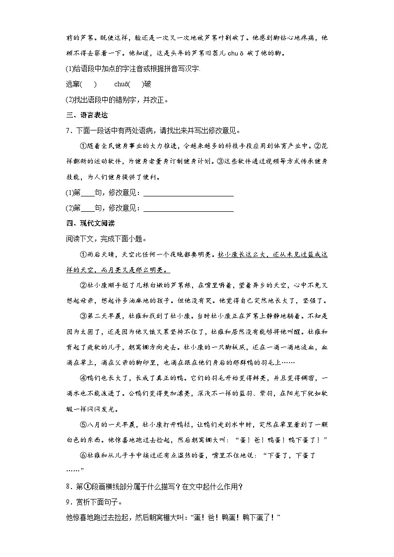 部编版语文九年级上册 第17课《孤独之旅》同步练习02