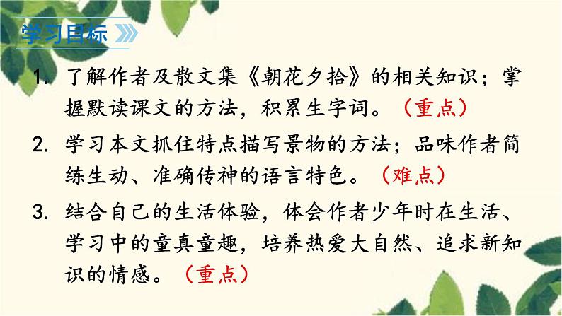 统编版语文七年级上册 9 从百草园到三味书屋课件03