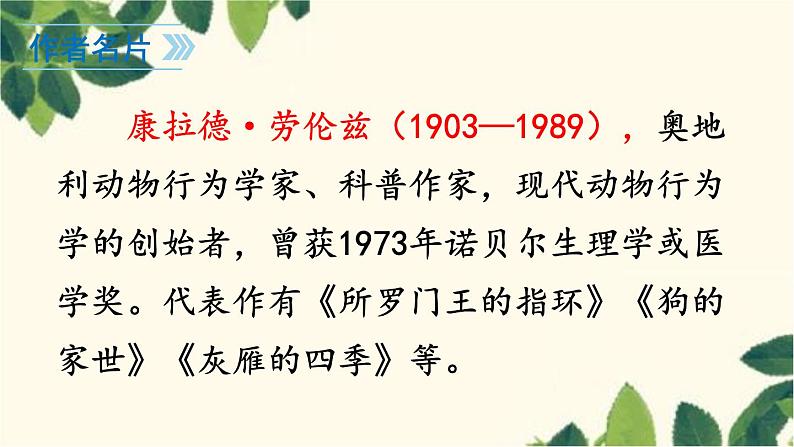 统编版语文七年级上册 17 动物笑谈课件04