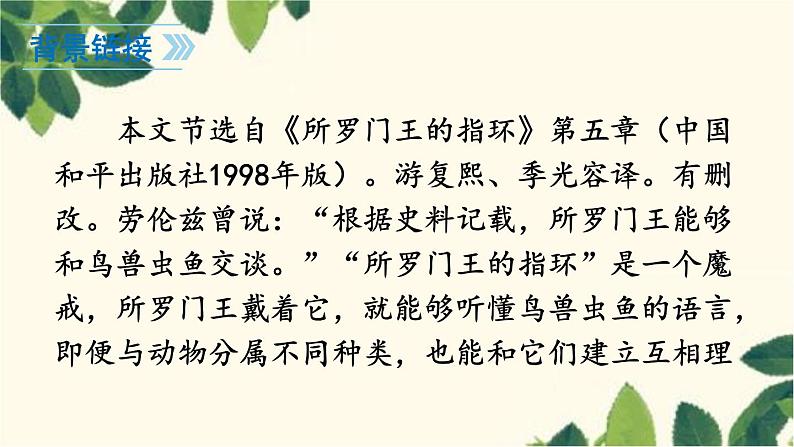统编版语文七年级上册 17 动物笑谈课件05