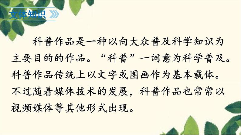 统编版语文七年级上册 17 动物笑谈课件07