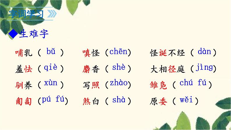 统编版语文七年级上册 17 动物笑谈课件08
