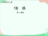 统编版语文七年级上册 18 狼【第一课时】课件