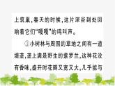 部編版語文七年級上冊 第一單元習題課件