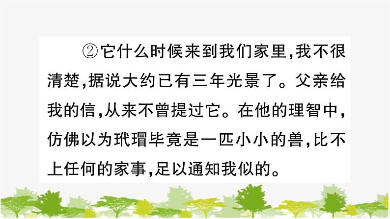 部编版语文七年级上册 第五单元习题课件04