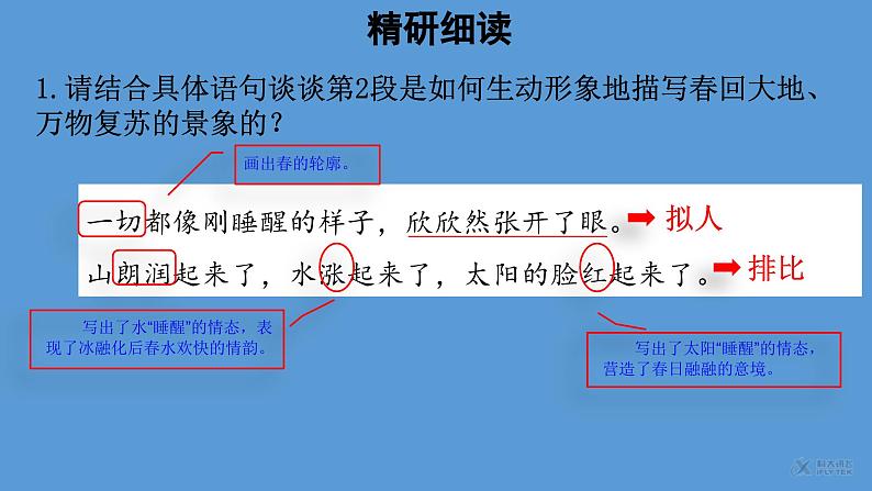 春第2课时优质课件 部编版七年级上册02