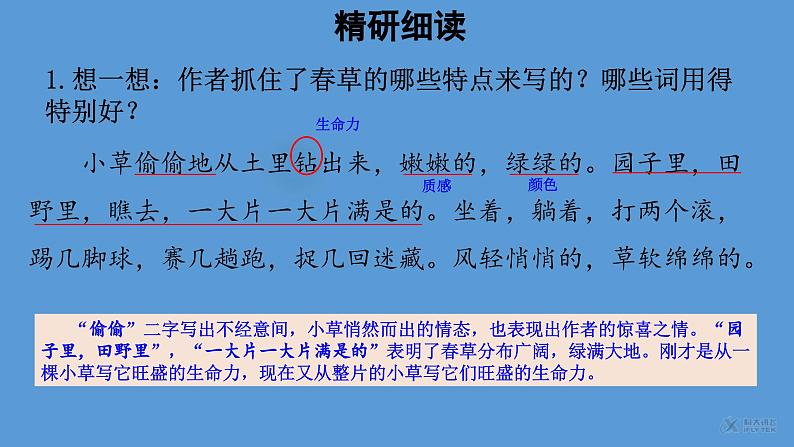 春第2课时优质课件 部编版七年级上册05