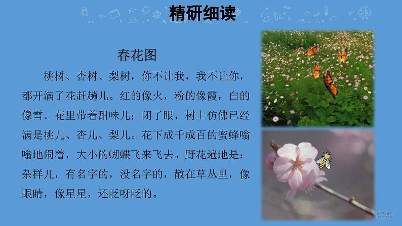 春第2课时优质课件 部编版七年级上册07