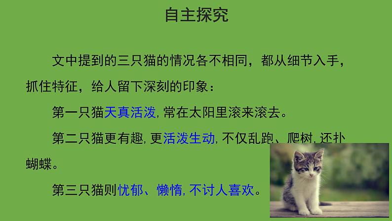 猫第2课时优秀课件 部编版七年级上册05