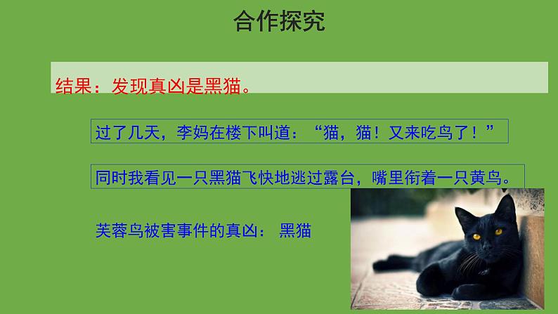 猫第2课时优秀课件 部编版七年级上册08