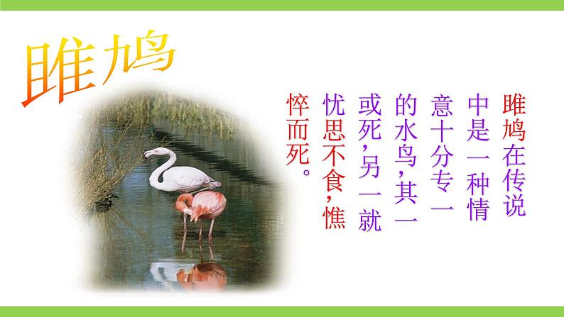 12【核心素养】部编版初中语文八年级下册12《诗经》二首 课件+教案+导学案（师生版）+同步测试（含答案）08