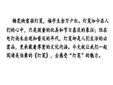 4《灯笼》-2024年八年级语文下册同步综合备课资源（统编版）（精品课件）
