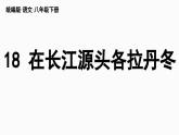 18《在长江源头各拉丹冬》-2024年八年级语文下册同步综合备课资源（统编版）（精品课件）