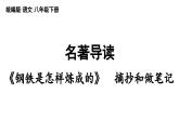 名著导读  《钢铁是怎样炼成的》摘抄和做笔记-2024年八年级语文下册同步综合备课资源（统编版）（精品课件）