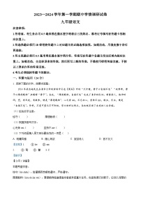 河南省周口市郸城县2023-2024学年九年级上学期期中语文试题（解析版）
