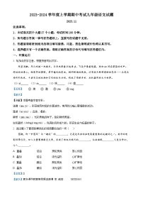 山东省泰安市肥城市2023-2024学年九年级上学期期中语文试题（解析版）